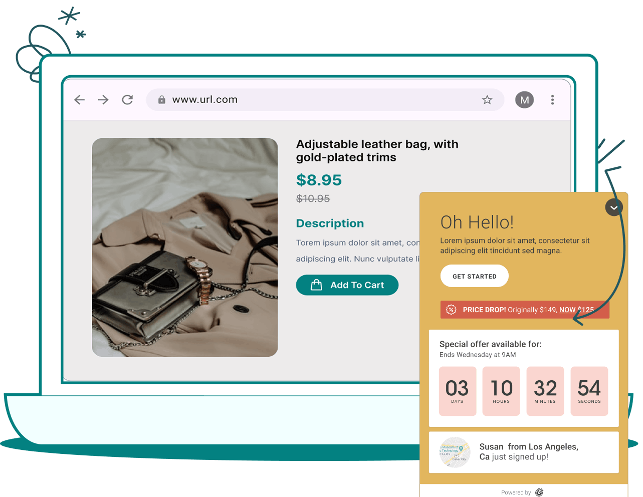 Website & On-Page <br>Pop-Up Widget